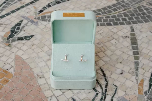 Diamond earrings